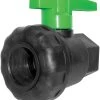 Green Leaf Single Union Valve 1 In