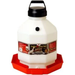 Little Giant Plastic Poultry Waterer - 5 Gal