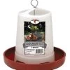 Little Giant Plastic Hanging Poultry Feeder - 3 Lbs -Garden And Farm Shop 084369096553 1