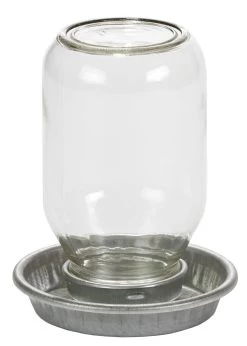 Little Giant Mason Jar Baby Chick Waterer - 1 Qt