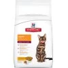 Hill's Chicken Recipe Dry Food 16 Pound Bag