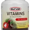 Durvet Vitamins & Electrolytes For Poultry - 100 Gm 2 Durvet Vitamins & Electrolytes For Poultry - 100 Gm -Garden And Farm Shop 146179 1