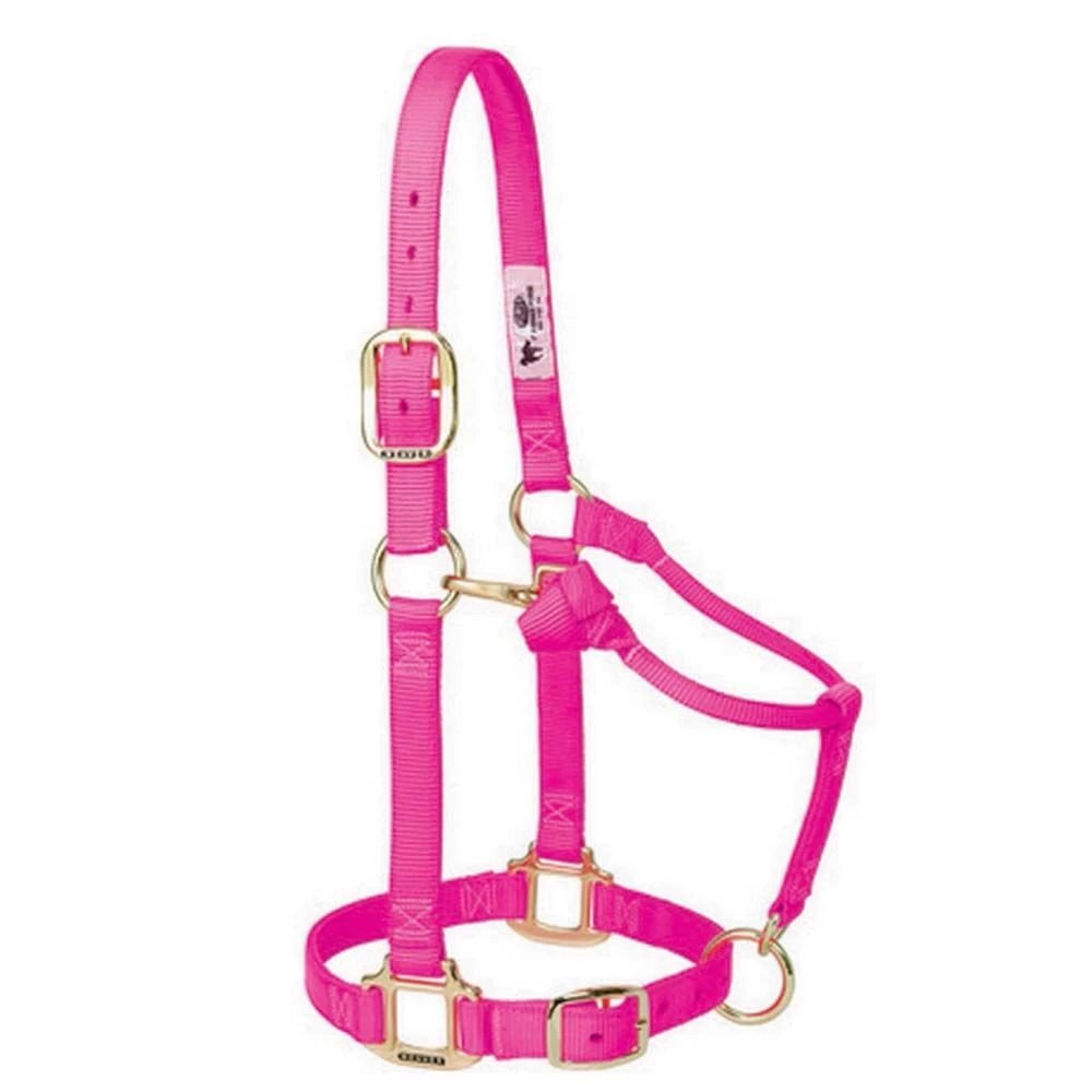 Weaver Leather Original Adjustable Horse Halter 4 Weaver Leather Original Adjustable Horse Halter - Image 2