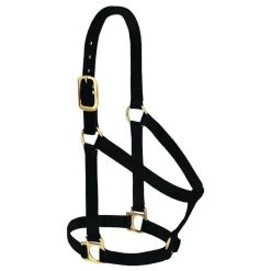 Weaver Leather Basic Non-Adjustable Halter 1" -Garden And Farm Shop 35 7404 bk 1