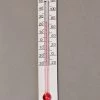 Farm Innovators Incubator Thermometer Kit