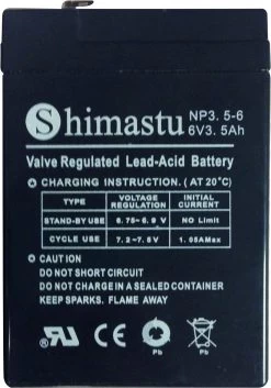 Patriot Tru Test True Test-6 Volt Replacement Battery