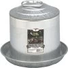 Little Giant 2 Gallon Double Wall Metal Poultry Fount