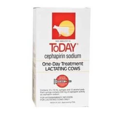 Boehringer Ingelheim Today Mastitis Tube - 10mL Tube