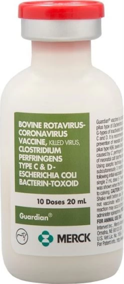 Merck Gaurdian Cattle Scours Vaccine- 20 Ml