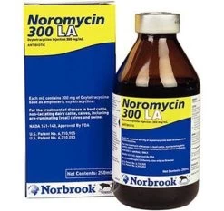 Norbrook Noromycin 300 Milligram Injectable - 100 Ml