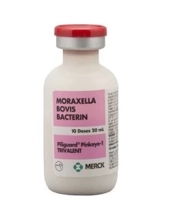 Merck Piliguard Pinkeye 1 Trivalent Cattle Vaccine- 20 Ml