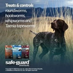 Safe-Guard Safe Guard 4 Canine Dewormer - Small 13 Safe-Guard Safe Guard 4 Canine Dewormer - Small -Garden And Farm Shop animalhealthinternational451790 5