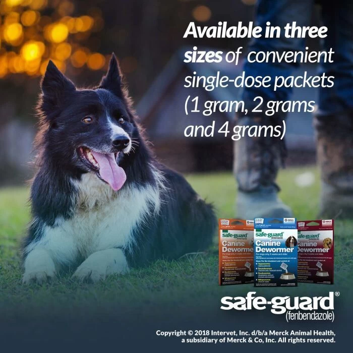 Safe-Guard Safe Guard 4 Canine Dewormer - Small 9 Safe-Guard Safe Guard 4 Canine Dewormer - Small - Image 7