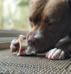 Primal Marrow Bone - Beef, L -Garden And Farm Shop animalsupplycompany445050 4 1