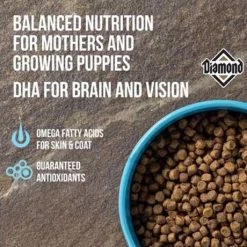 Diamond Naturals Dog Food - Puppy, 20 Lb -Garden And Farm Shop animalsupplycompany451074 3