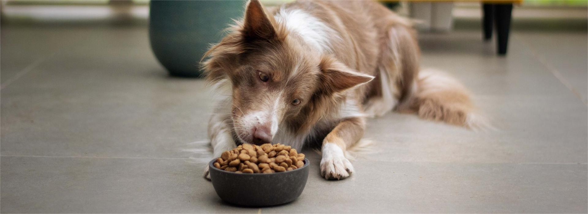 Front Page -Garden And Farm Shop ayla verschueren QIbjKOsmIhQ unsplash