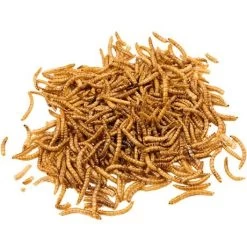 Country Companion Dried Mealworms - 30 Oz -Garden And Farm Shop country companion dried mealworm bag 30 oz. 451108 04
