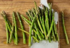 DeGroot Mary Washington Asparagus Root -Garden And Farm Shop degroot1181146 3