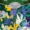DeGroot Dutch Iris Mix