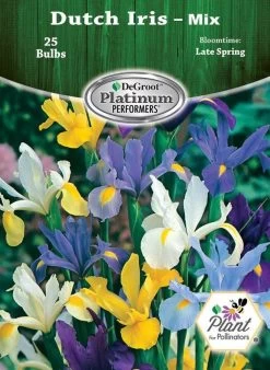 DeGroot Dutch Iris Mix