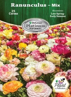 DeGroot Ranunculus, Mix Corm