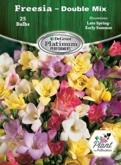 DeGroot Freesia Double Mix Corms