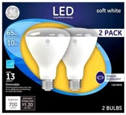 GE Led 2 Pack 10W Soft White Food Bulb