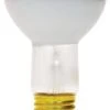 GE 45W Flood Reflector Bulb 120V