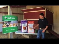 Country Companion Layer Crumble Chicken Feed - 50 Lb -Garden And Farm Shop hqdefault 5 33