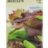Ferry-Morse Mesclun Mix Lettuce Seed Packet - 1.8 G 1 Ferry-Morse Mesclun Mix Lettuce Seed Packet - 1.8 G -Garden And Farm Shop img 7293
