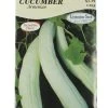 Ferry-Morse Armenian Cucumber Seed Packet - 1.25 G