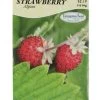 Ferry-Morse Strawberry Seed Packet - 125 Mg