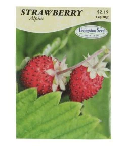 Ferry-Morse Strawberry Seed Packet - 125 Mg