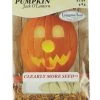 Ferry-Morse Jack O'Lantern Pumpkin Seed Packet - 5 G