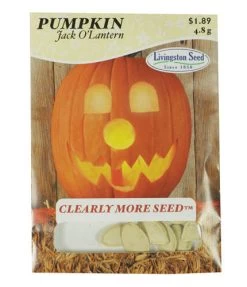 Ferry-Morse Jack O'Lantern Pumpkin Seed Packet - 5 G