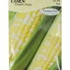 Ferry-Morse Double Sweet Corn Seed Packet - 13 G