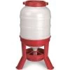 Little Giant Plastic Poultry Feeder - 60 Lb
