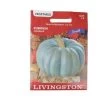 Livingston Pumpkin, Jaradale Seed Packet