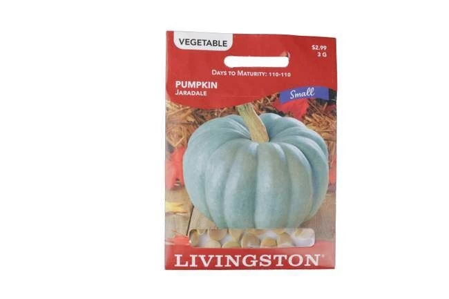 Livingston Pumpkin, Jaradale Seed Packet 3 Livingston Pumpkin, Jaradale Seed Packet
