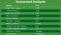 Nutrena Loyall Adult Maintenance Dog Food - 20 Lbs