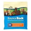 Manna Pro Bounce Back Multi-Species Electrolyte Supplement - 4 Lbs -Garden And Farm Shop mannaproproducts342034 1 1