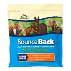 Manna Pro Bounce Back Multi-Species Electrolyte Supplement - 4 Lbs
