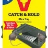Motomco Live-Catch Mouse Trap - 28 Oz