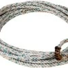 Mustang Manufacturing Big Dog Kid Rope - Blue/White, Nylon