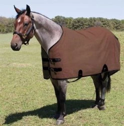 Mustang Manufacturing Canvas Turnout Blanket, 76 In. - Brown -Garden And Farm Shop mustangmanufacturing6876053 2