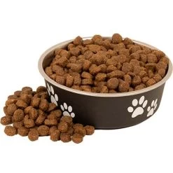 Nutrena Loyall Active Dog Food - 40 Lb -Garden And Farm Shop nutrena loyall active all stages 40 484007 04
