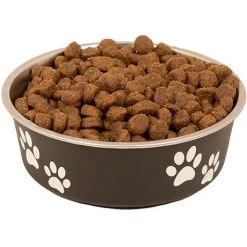 Nutrena Loyall Active Dog Food - 40 Lb -Garden And Farm Shop nutrena loyall active all stages 40 484007 05