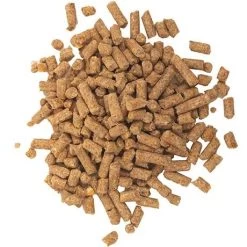 Nutrena 18% Protein Pig Feed - 50 Lb -Garden And Farm Shop nutrena show edge pig 18 protein 50 324929 04 1