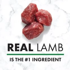 Nutro Small Bites Dog Food - Lamb & Rice, 5 Lb -Garden And Farm Shop nutro natural choice adult dog food small bites lamb brown rice 5 460005 03