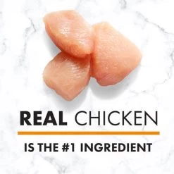 Nutro Chicken, Rice & Sweet Potato Puppy Food - Puppy, 15 Lb -Garden And Farm Shop nutro natural choice puppy dog food chicken brown rice 13 460060 04